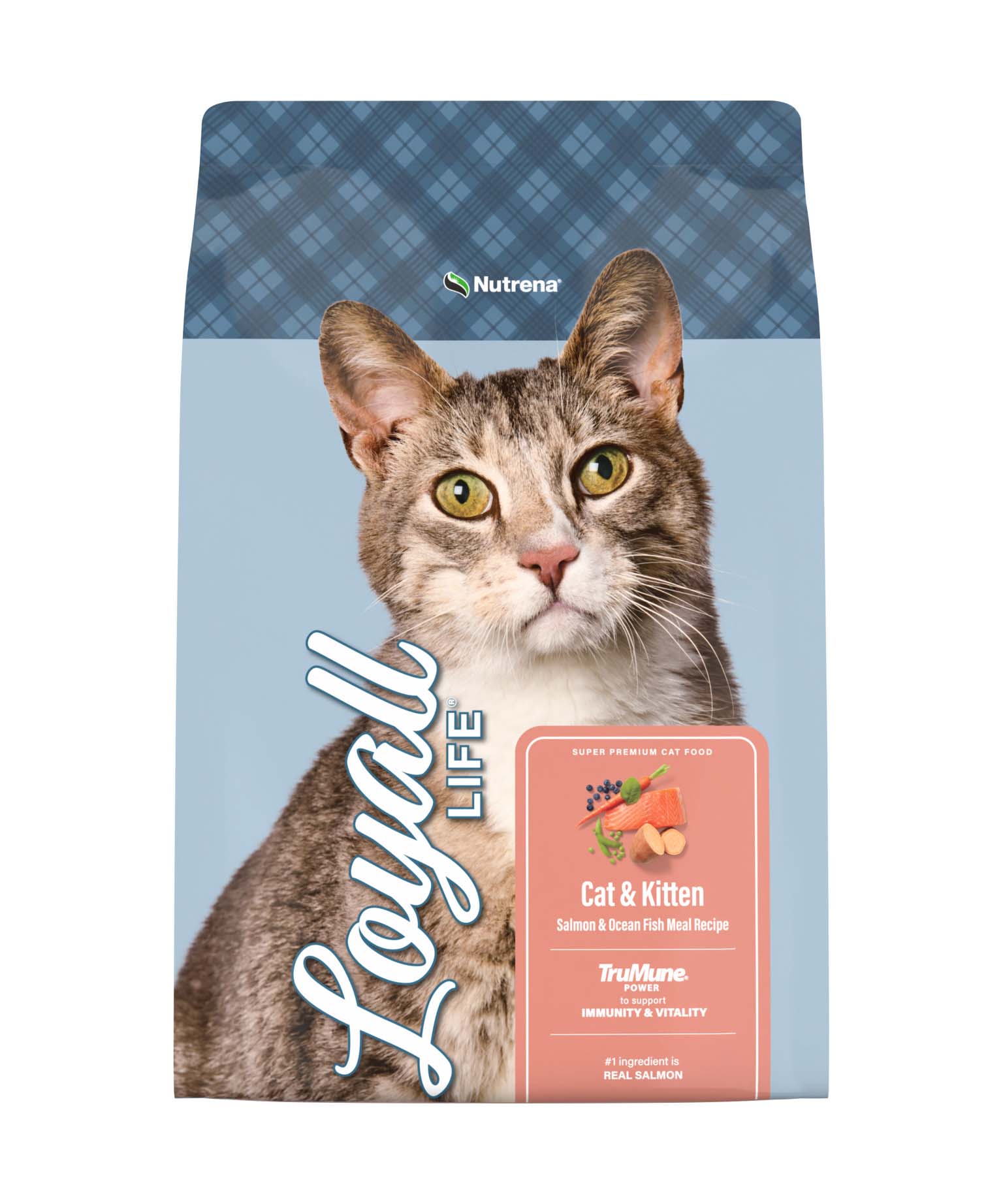 水彩画　レオ・マイヤーズドルフ「A Well Balanced Diet」 Loyall Life® Cat & Kitten Salmon & Ocean Fish Recipe