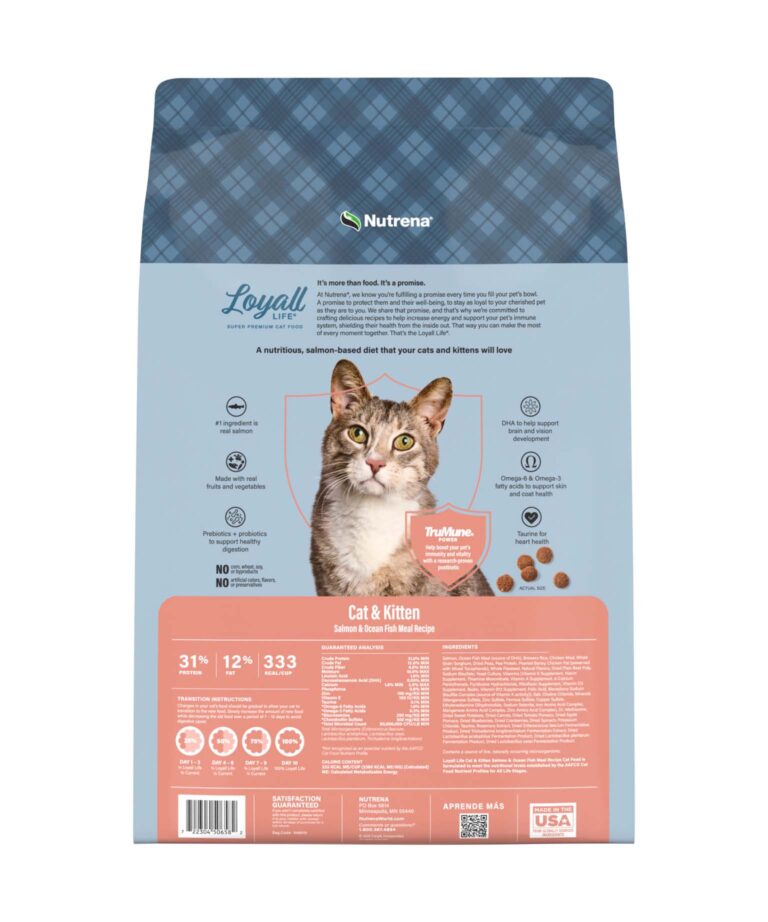 cat and kitten salmon ocean fish recipe