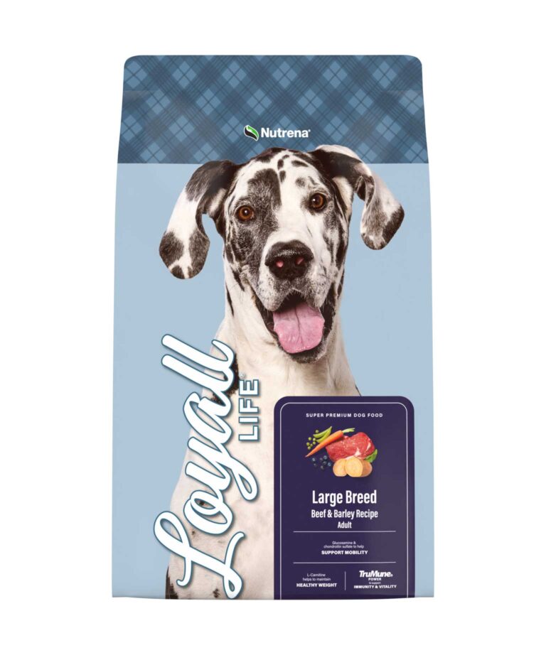 Large Breed Beef and Barley Recipe Front of Bag