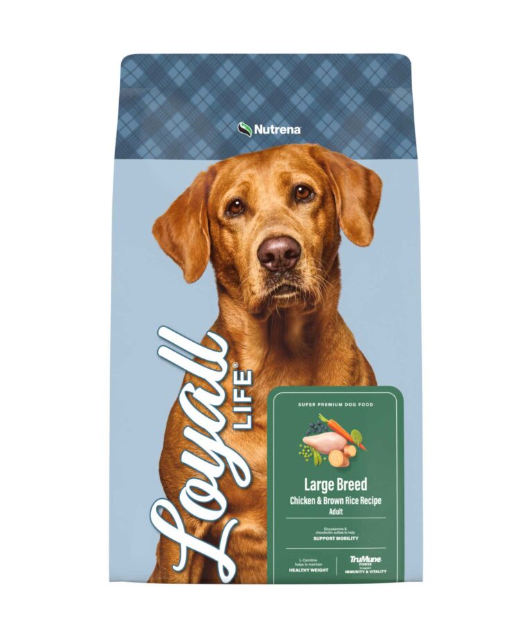 Large Breed Chicken & Brown Rice Recipe Front of Bag