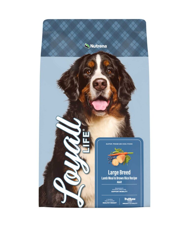 Front of Large Breed Lamb Meal and Brown Rice Recipe Bag