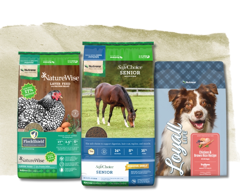Nutrena Products