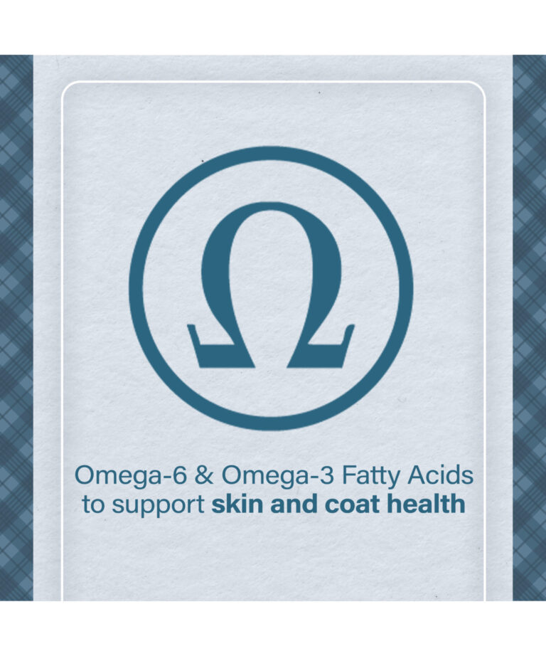 omega 6 and omega 3 fatty acids