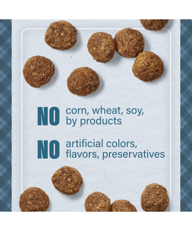 no corn wheat soy by products