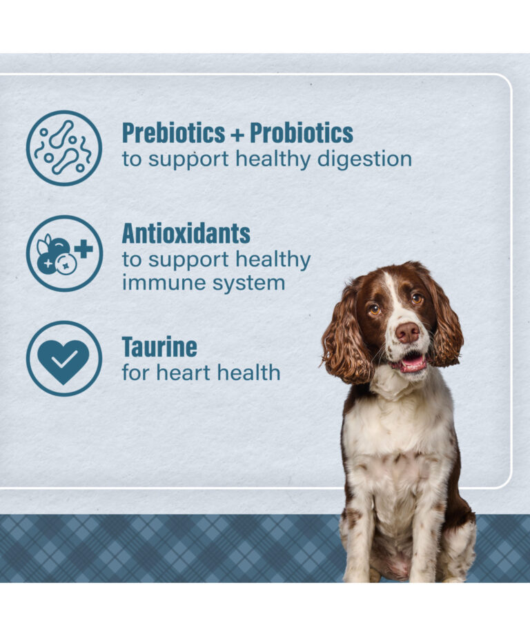 prebiotics and probiotics