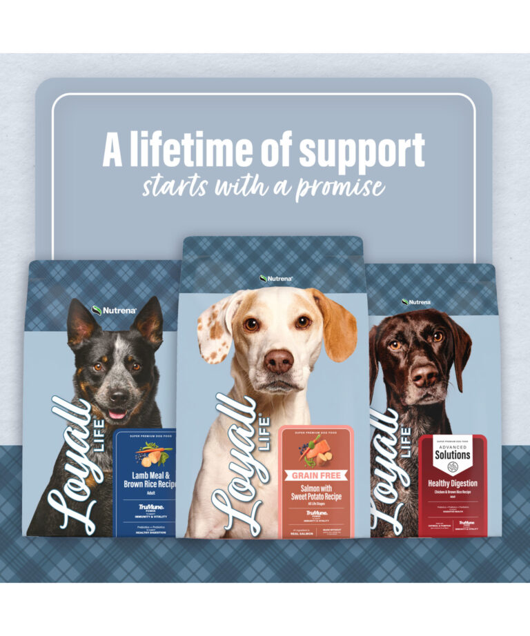 a lifetime of support