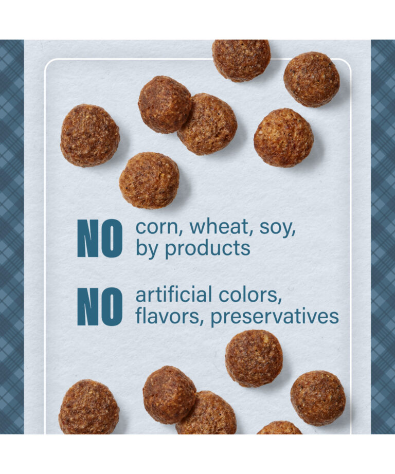 no corn wheat soy by products
