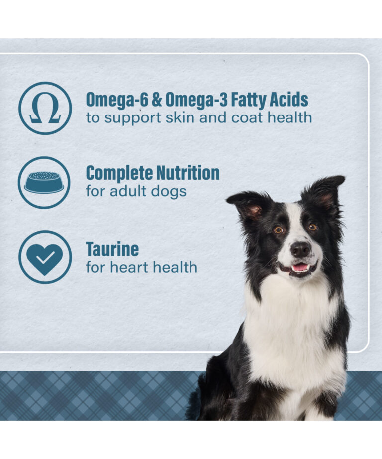 omega 6 and omega 3 fatty acids