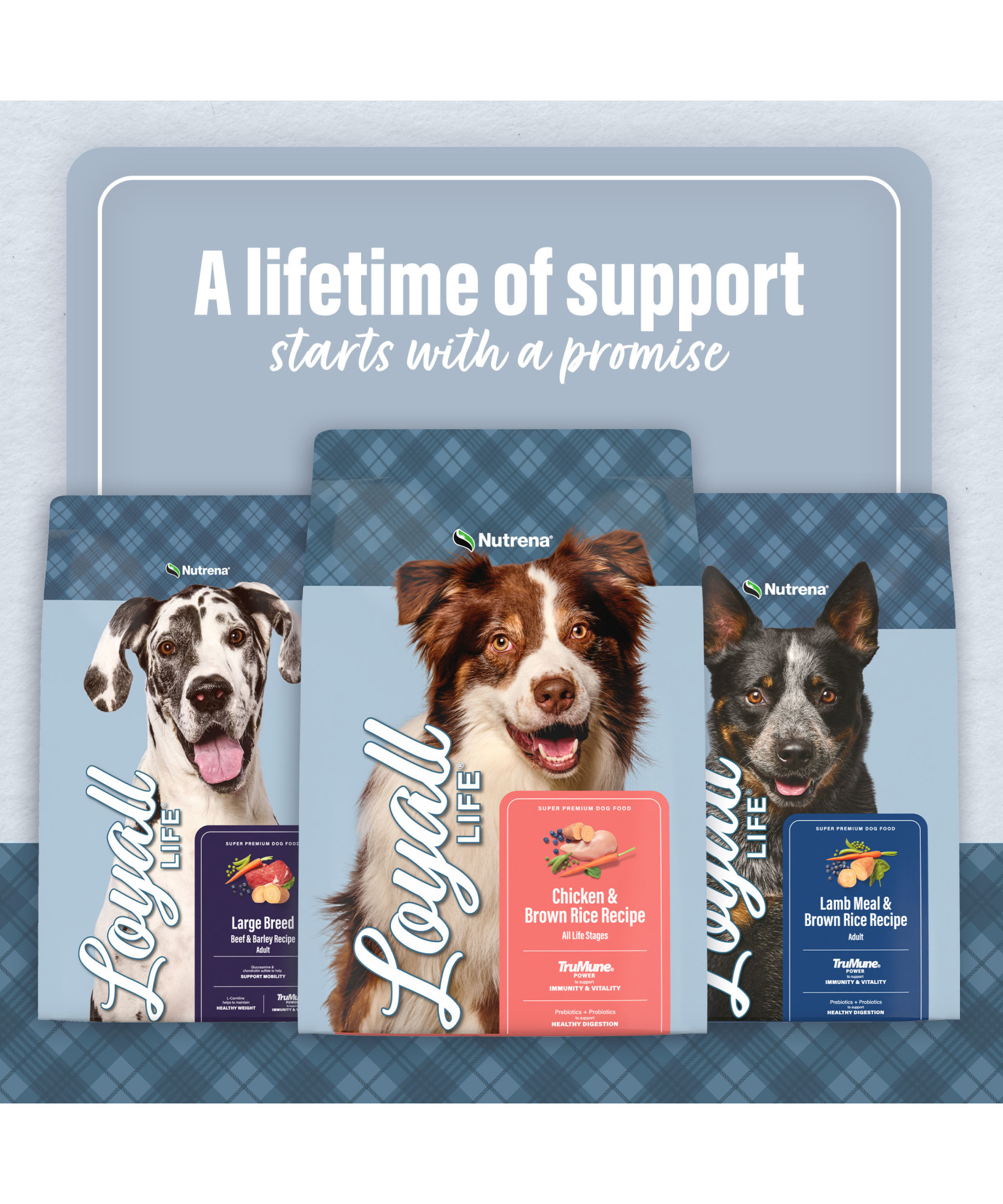 Loyall Life Beef & Barley Recipe