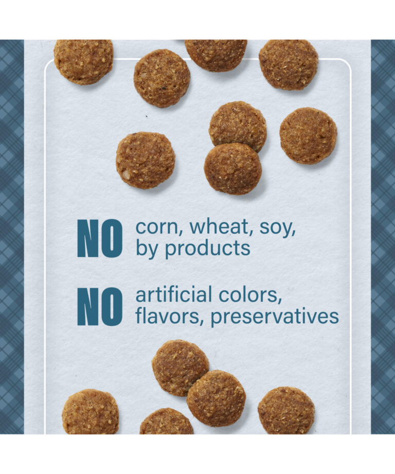 no corn wheat soy by products