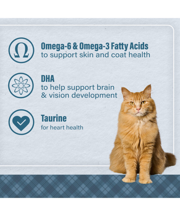 omega 6 and omega 3 fatty acids