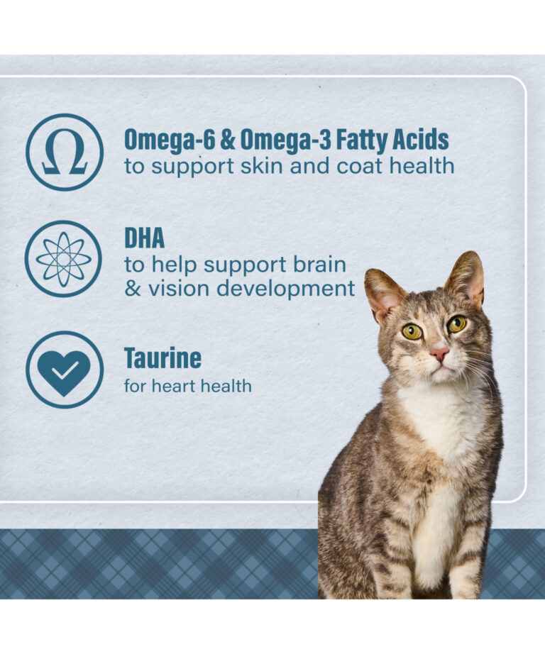 omega 6 and omega 3 fatty acids