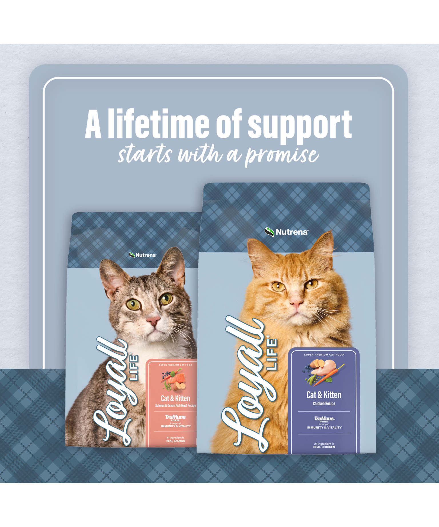 Loyall Life® Cat & Kitten Salmon & Ocean Fish Recipe