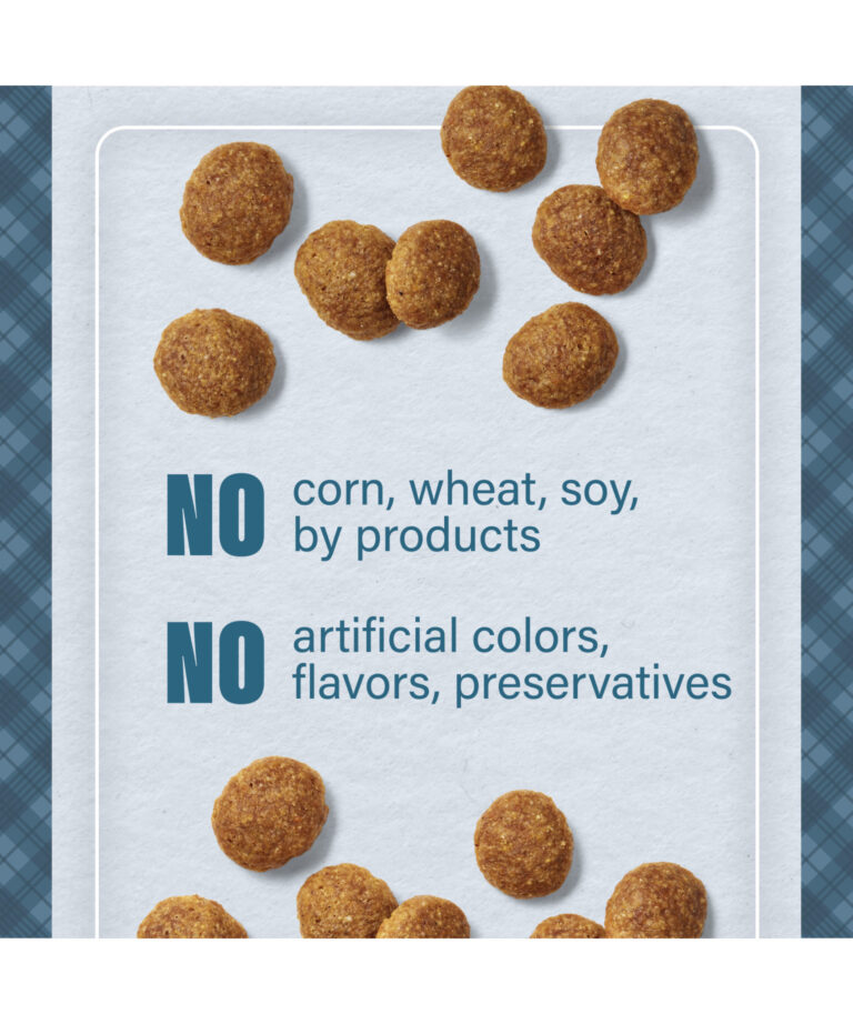 no corn wheat soy by products