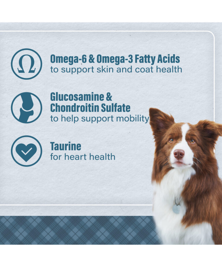 omega 6 and omega 3 fatty acids