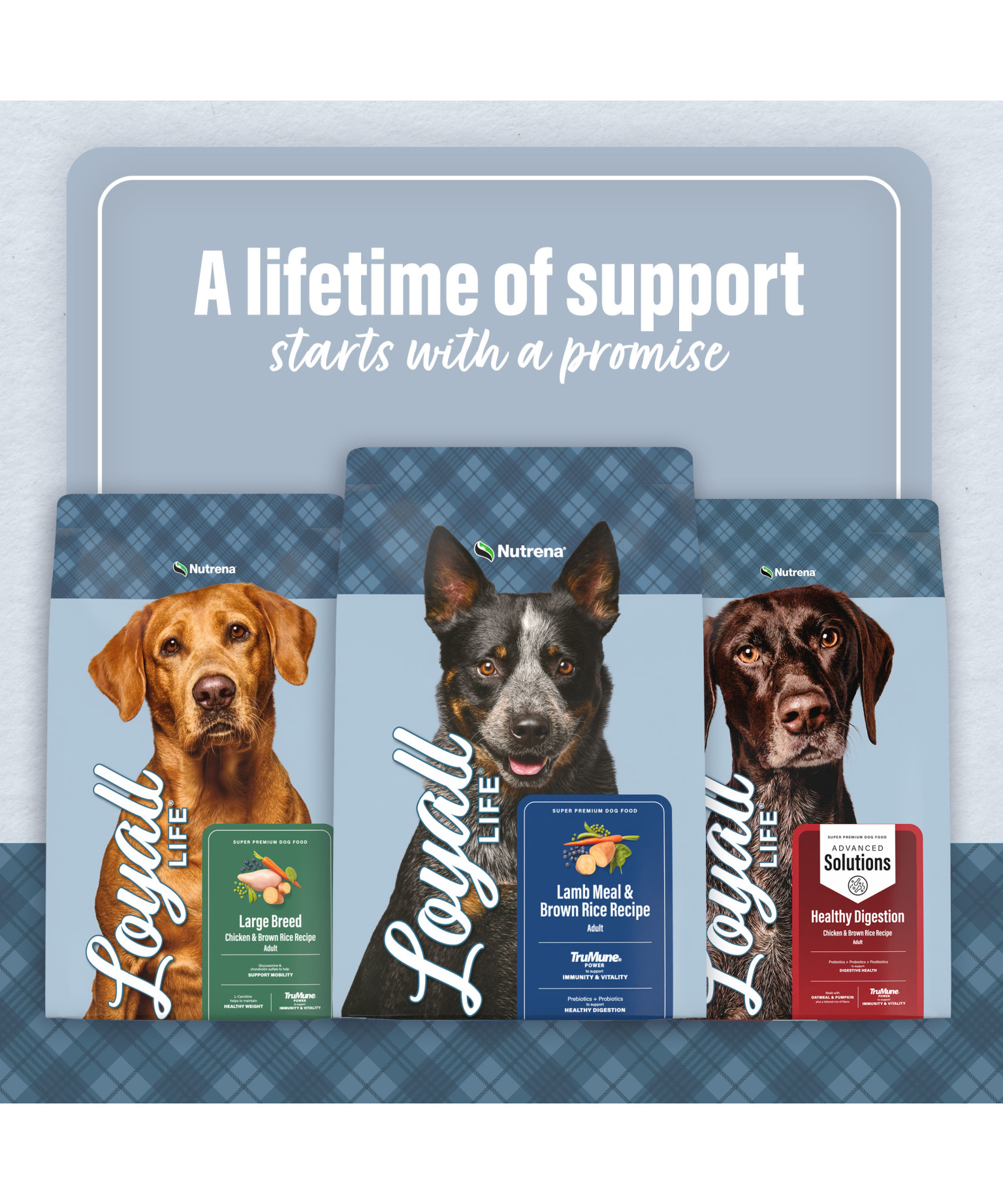 l carnitine in dog food Loyall Life Chicken & Brown Rice Recipe
