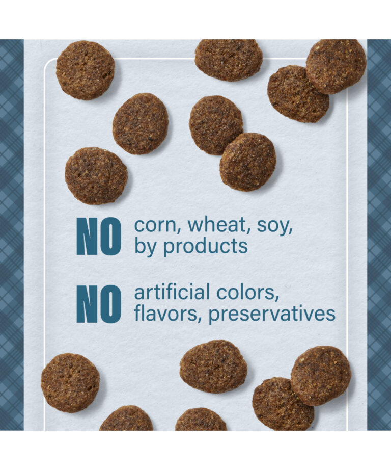 no corn wheat soy by products