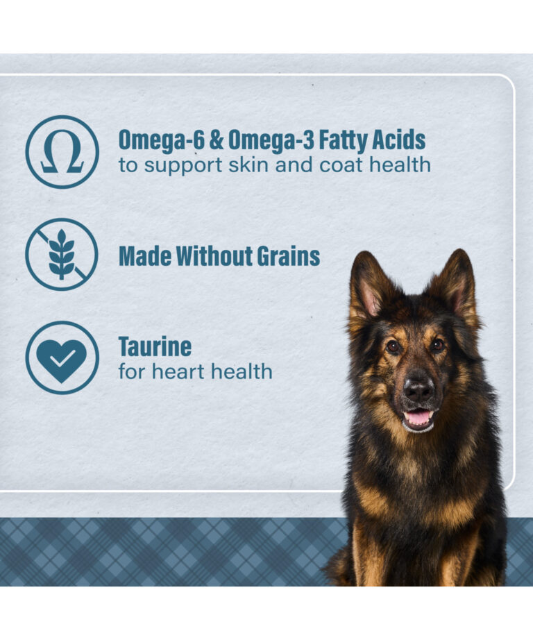 omega 6 and omega 3 fatty acids