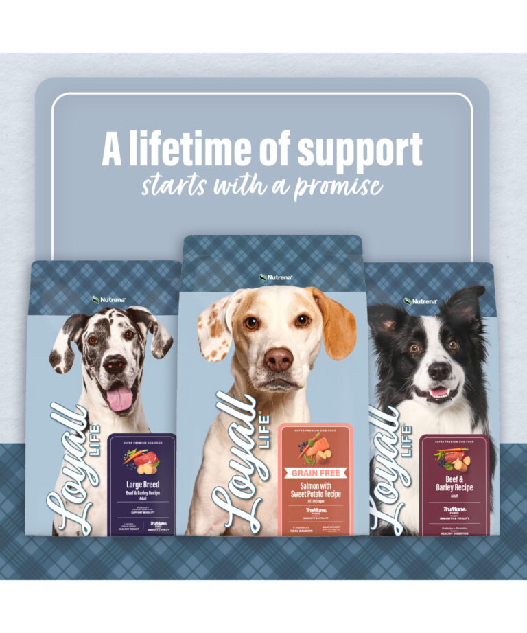 a life time of support
