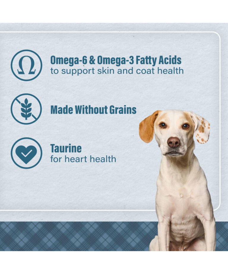 omega 6 and omega 3 fatty acids