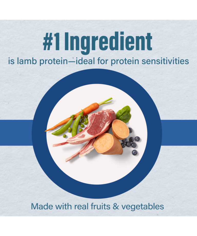 1st ingredient lamb protein