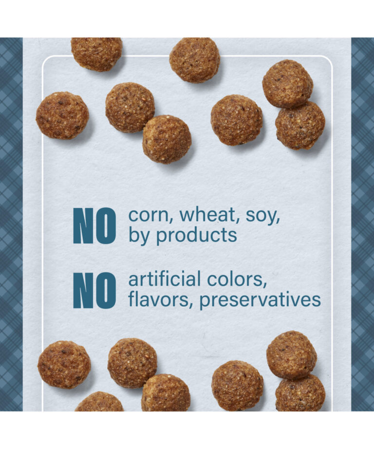 no corn wheat soy by products