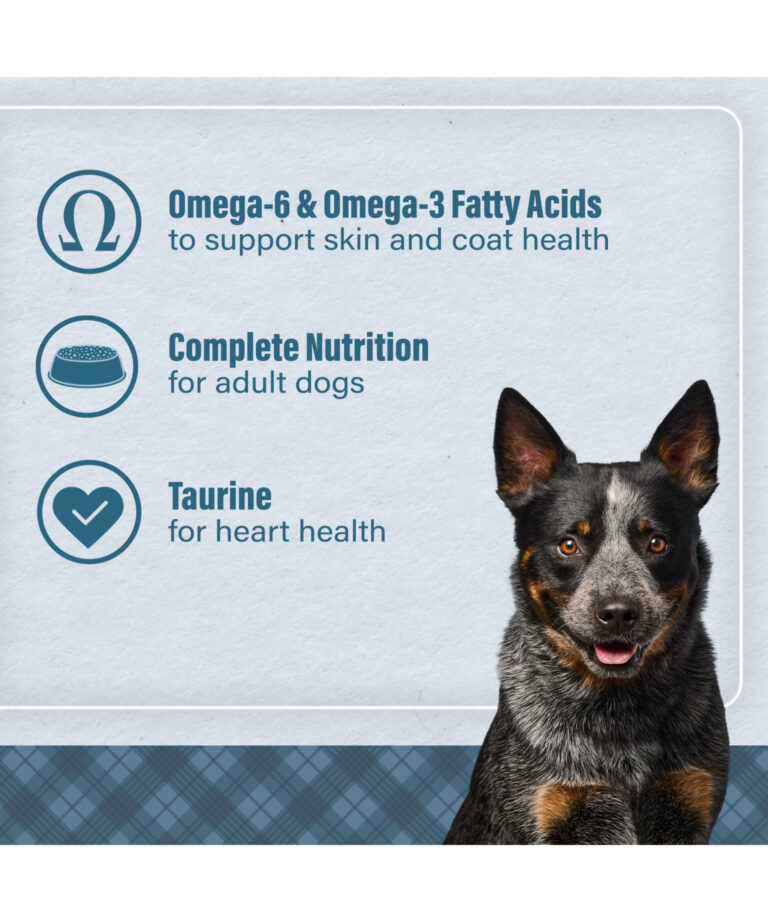 omega 6 and omega 3 fatty acids