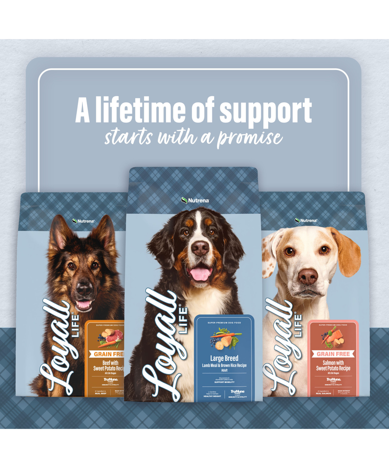 Loyall Life Lamb Meal & Brown Rice Recipe