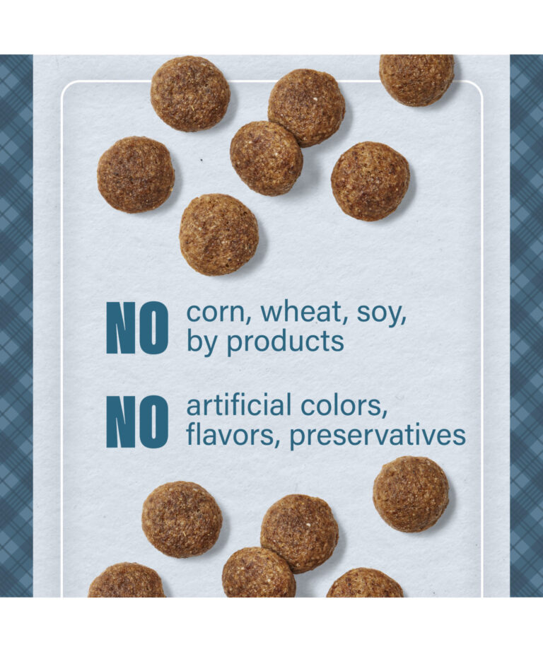no corn wheat soy by products