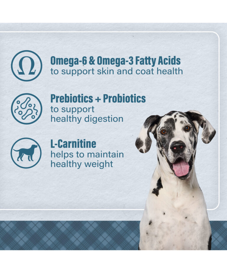 omega 6 and omega 3