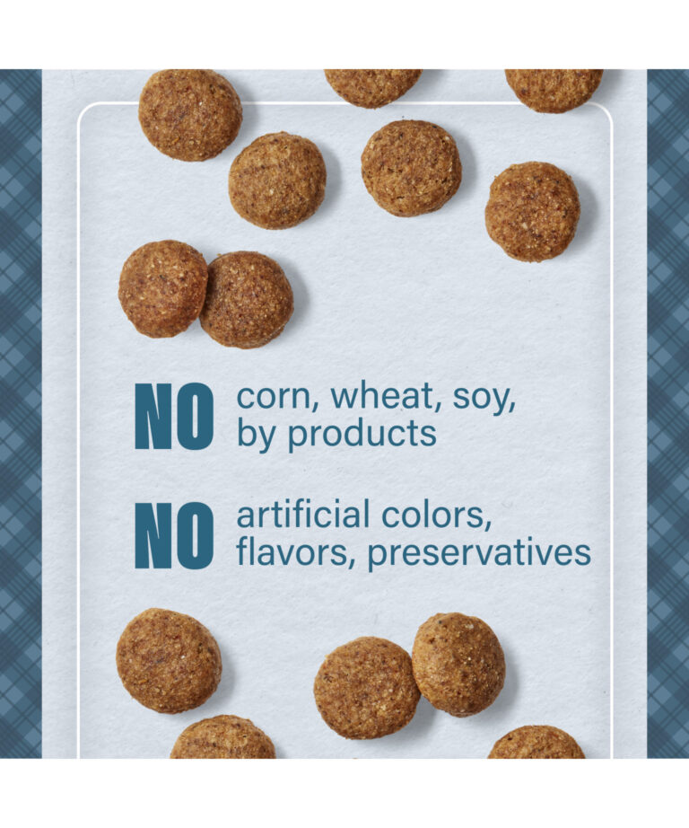 no corn wheat soy by products
