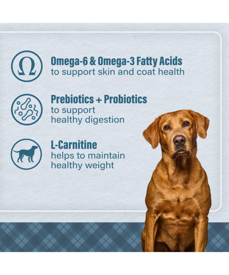 omega 6 and omega 3