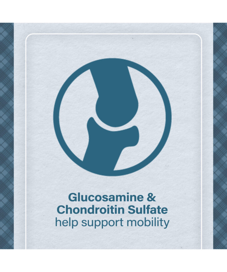 glucosamine and chondroitin sulfate