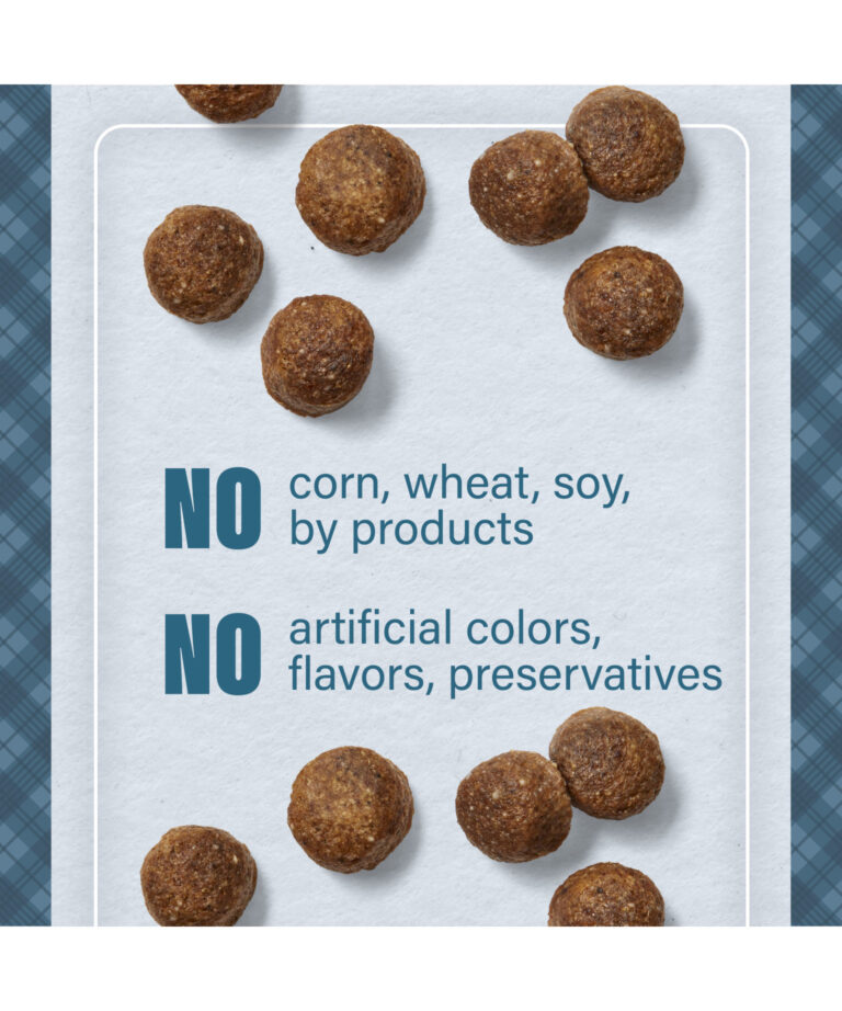 no corn wheat soy by products