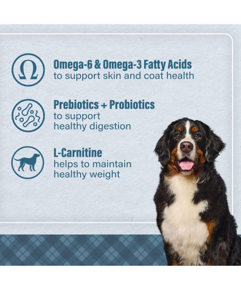 omega 6 and omega 3 fatty acids