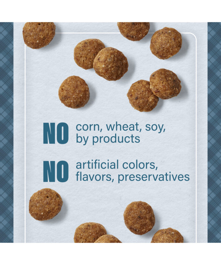 no corn wheat soy by products