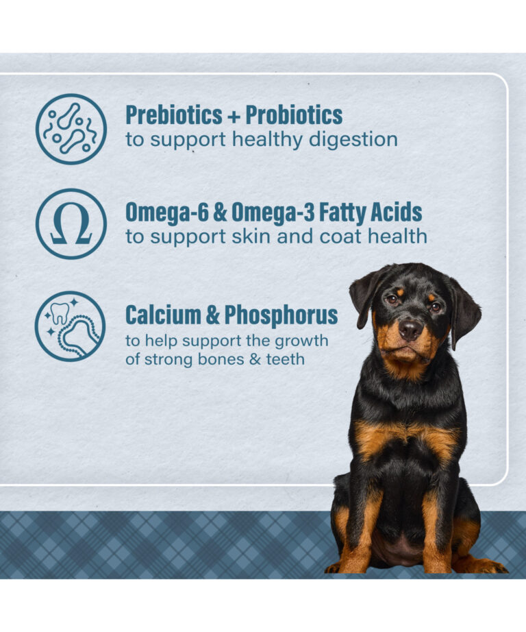 prebiotics + probiotics