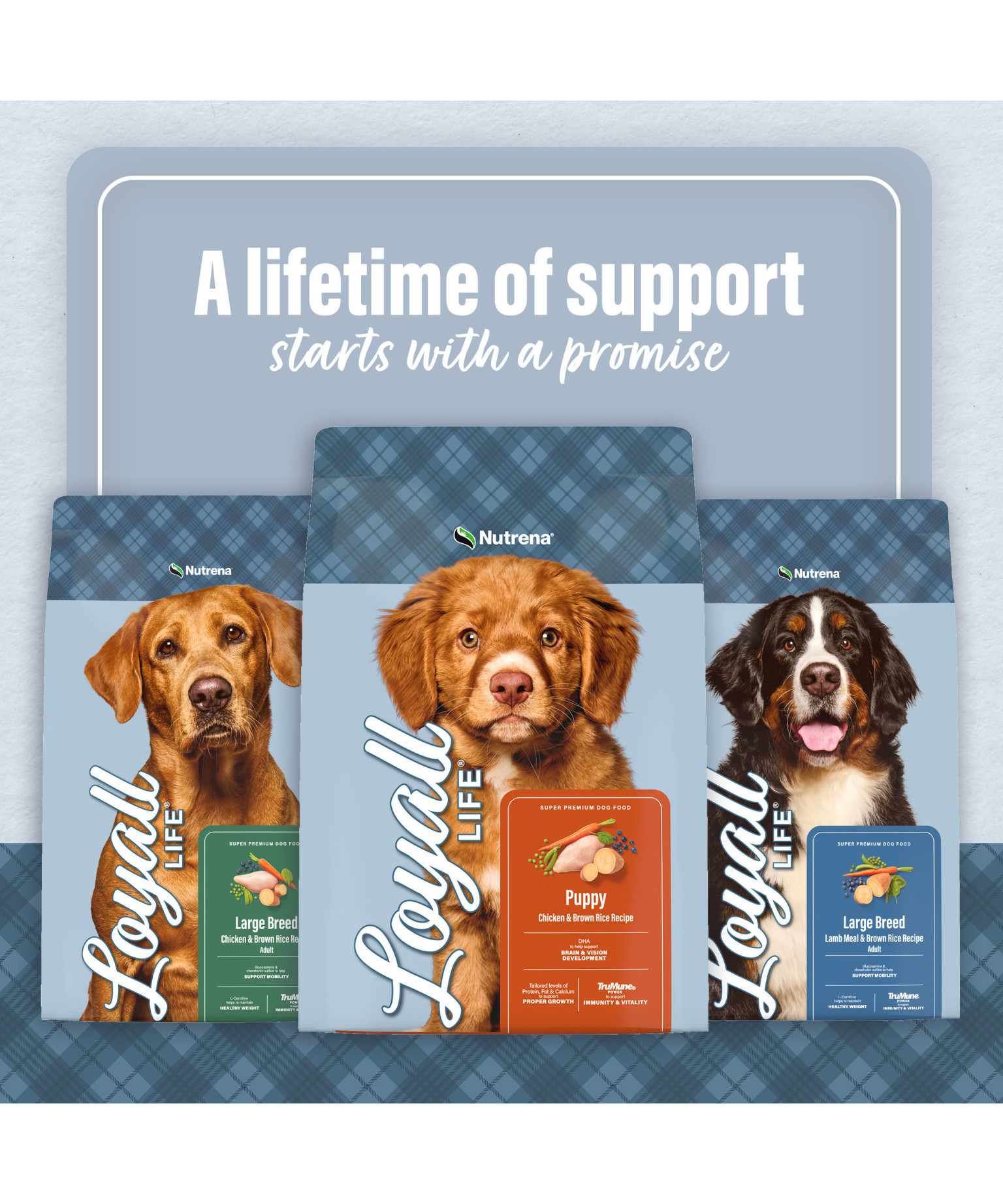 Loyall Life Puppy Large Breed Chicken & Brown Rice Recipe