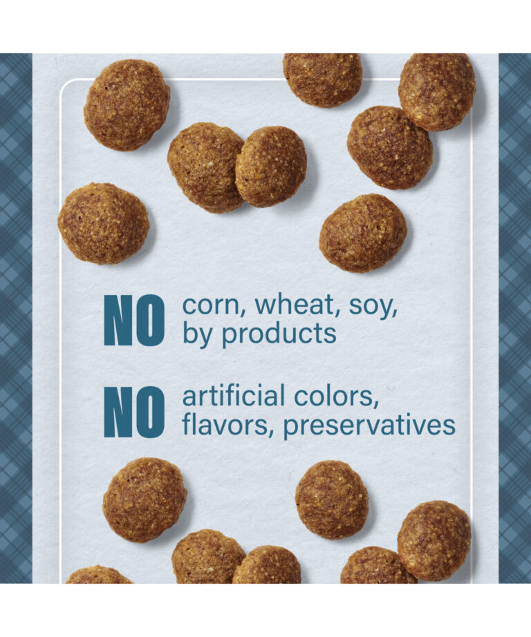 no corn wheat soy by products