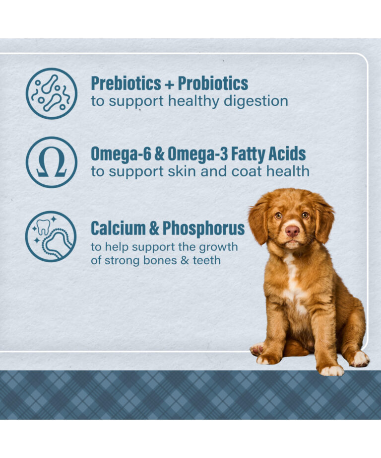 prebiotics + probiotics