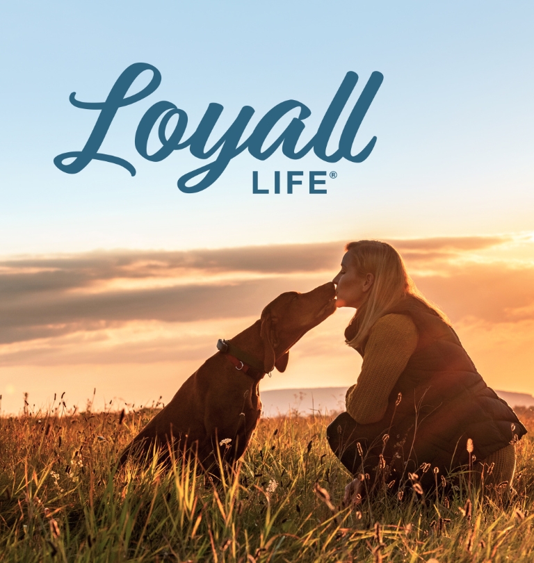Loyall Life Pet