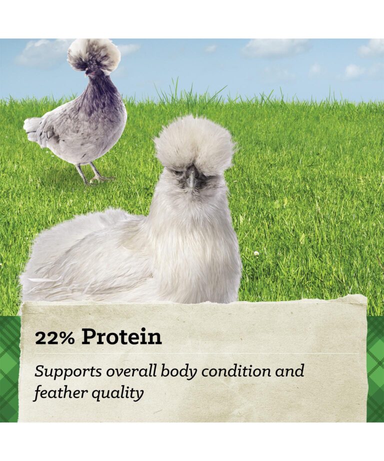 22 percent protein