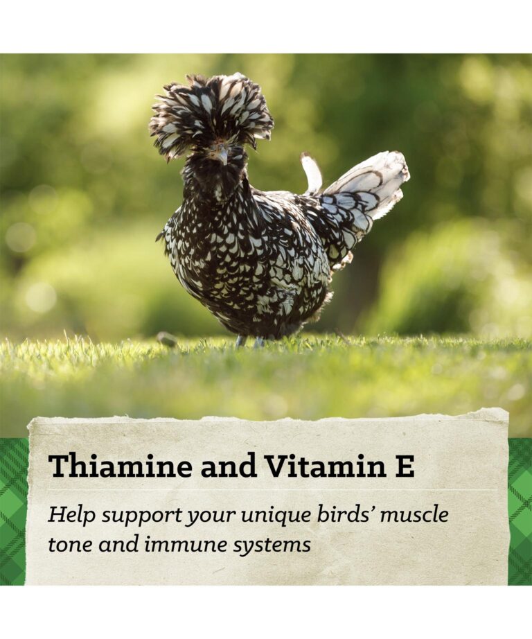 thiamine and vitamin E