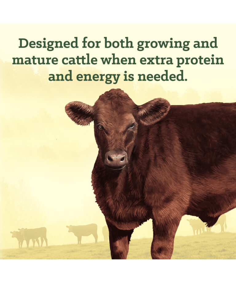Designed for growing and mature cattle