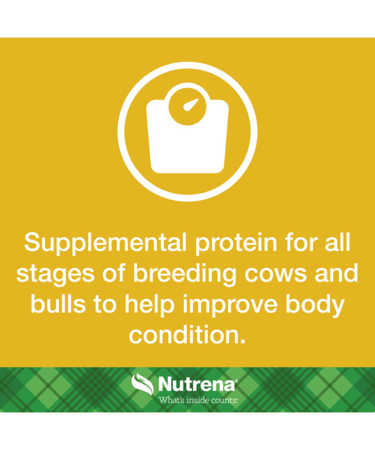 supplemental protein