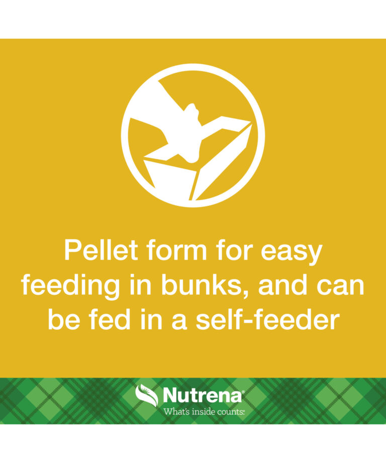Pellet form for feeding