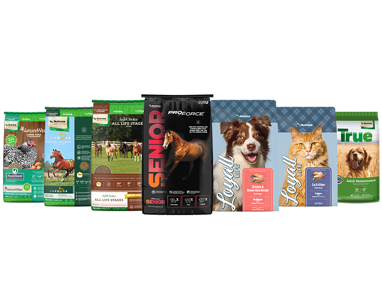Nutrena pet, poultry and horse bags
