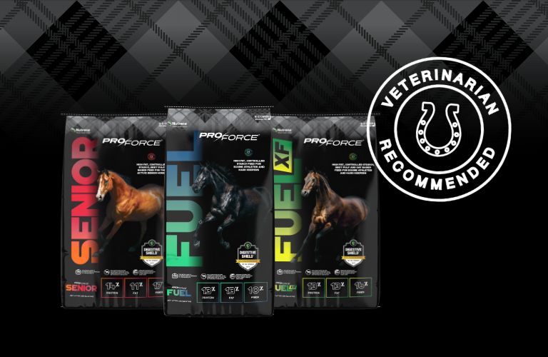 ProForce bags