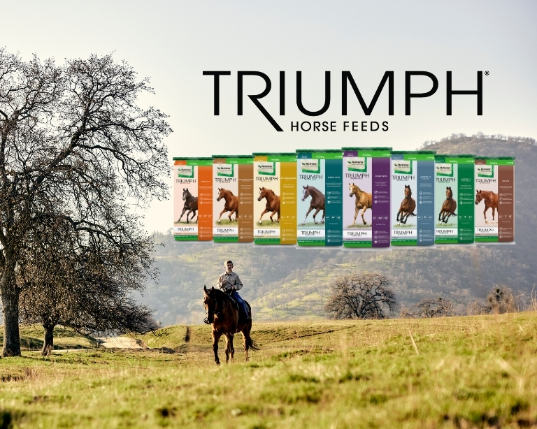 triumph horse feed