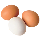 egg icon